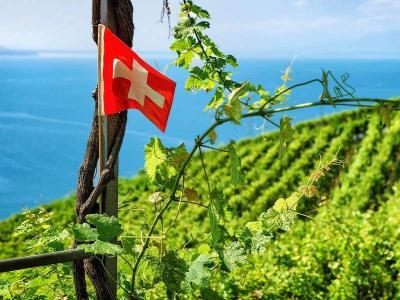 Drapeau suisse devant les vignes en terrasses du Lavaux près du village de Oron.