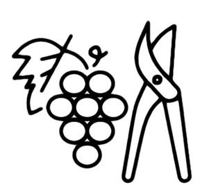 Vinegrape winemaker skills